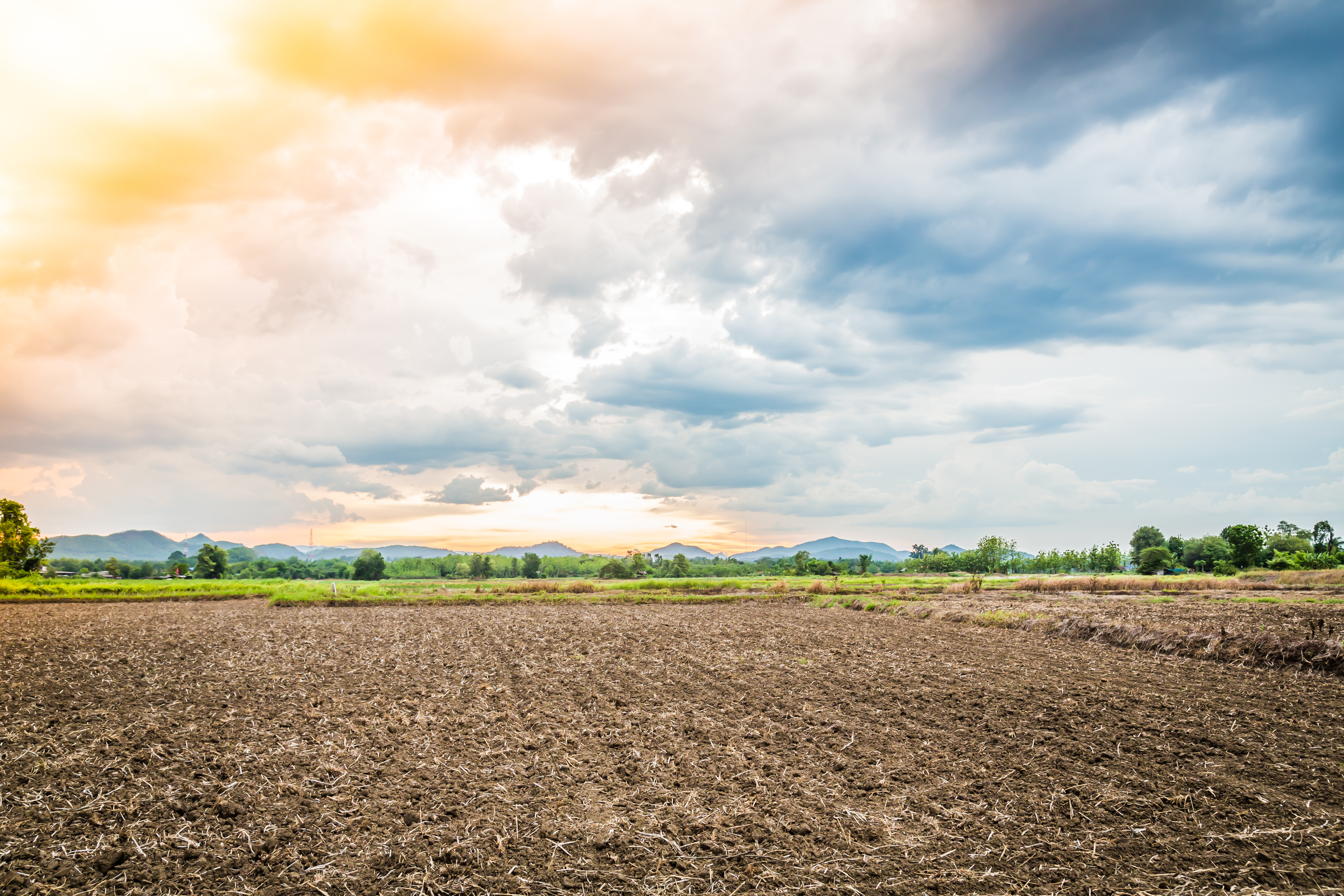 Agriculture Land